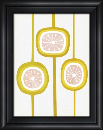 Framed Paloma II Print