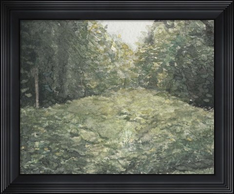 Framed Virginia Forest I Print