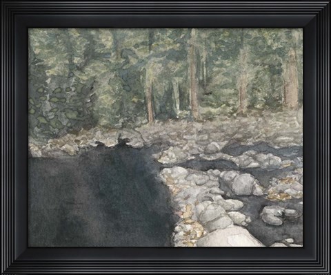 Framed Virginia Forest II Print