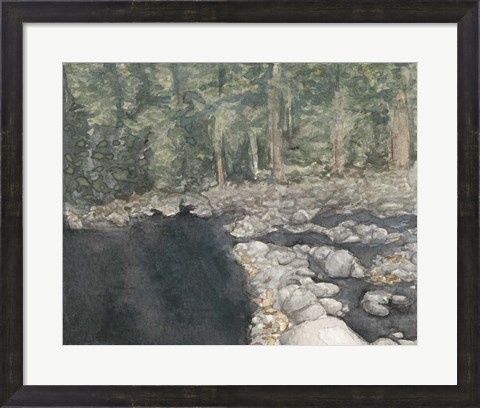 Framed Virginia Forest II Print