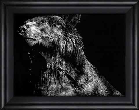 Framed Ursa Major Print