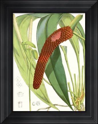 Framed Tropical Variety V Print
