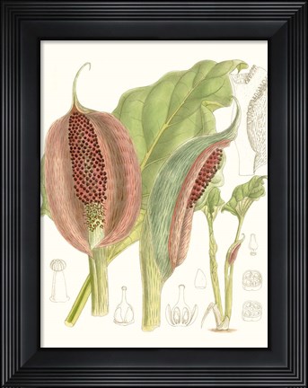 Framed Tropical Variety VI Print