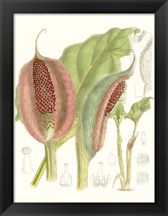 Framed Tropical Variety VI Print