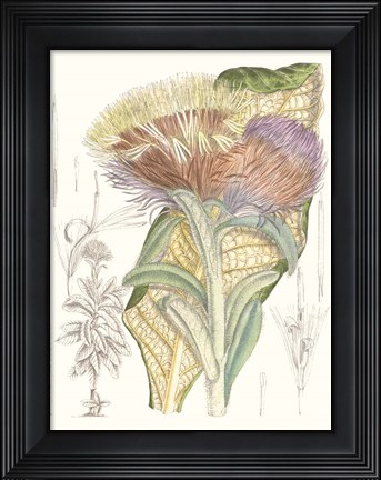 Framed Tropical Variety IX Print