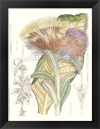 Framed Tropical Variety IX Print