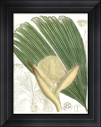 Framed Palm Melange II Print