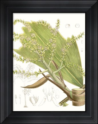 Framed Palm Melange III Print