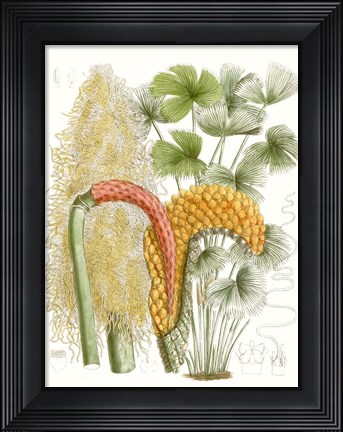 Framed Palm Melange IV Print