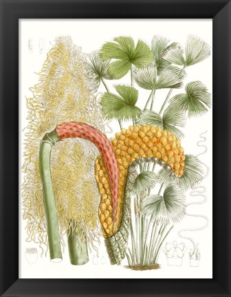 Framed Palm Melange IV Print