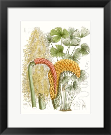 Framed Palm Melange IV Print