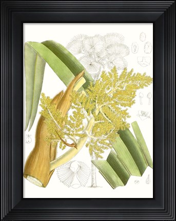 Framed Palm Melange V Print