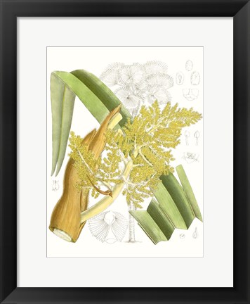 Framed Palm Melange V Print