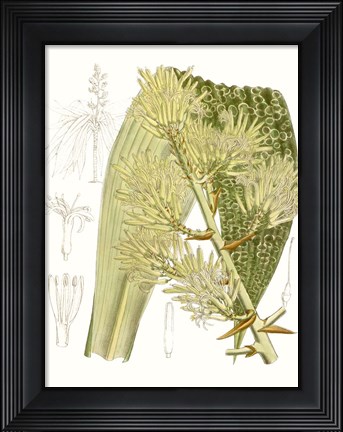 Framed Palm Melange VI Print