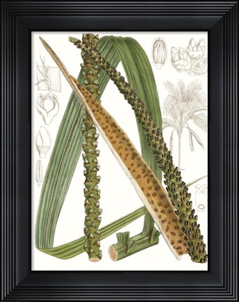Framed Palm Melange IX Print