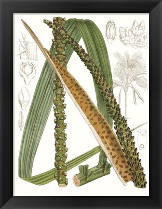 Framed Palm Melange IX Print