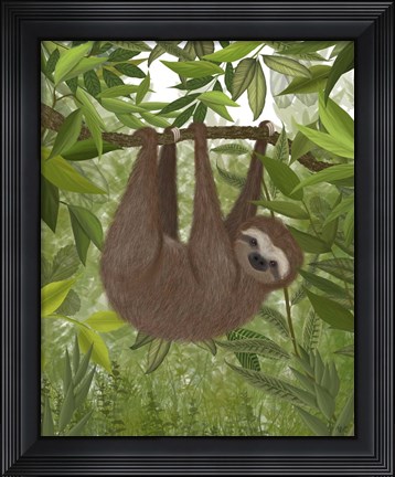 Framed Sloth Hanging Around Print