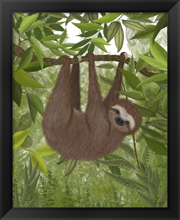 Framed Sloth Hanging Around Print