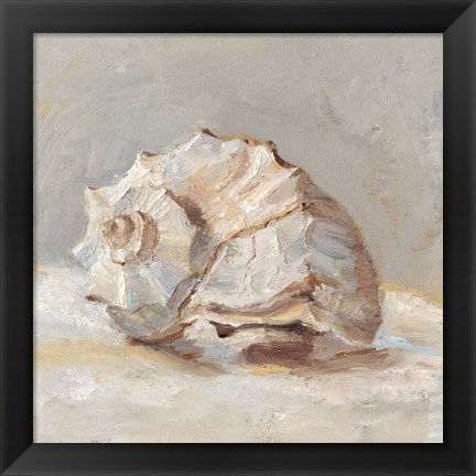 Framed Impressionist Shell Study II Print