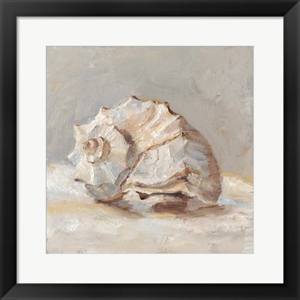 Framed Impressionist Shell Study II Print