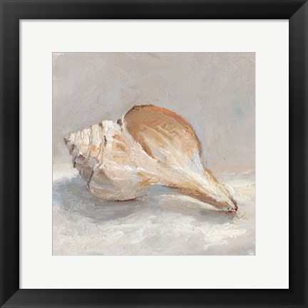 Framed Impressionist Shell Study III Print