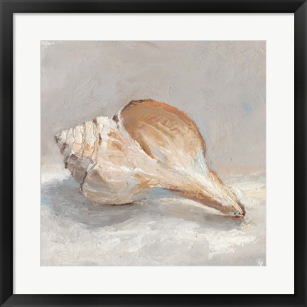 Framed Impressionist Shell Study III Print