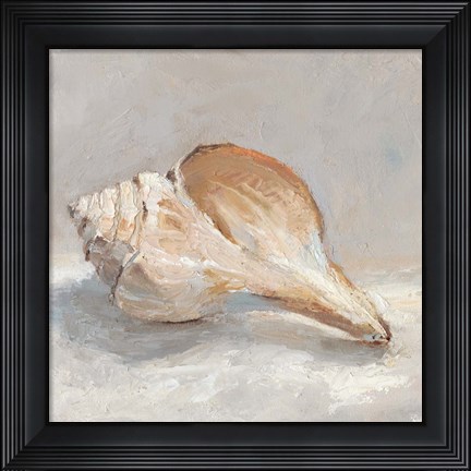 Framed Impressionist Shell Study III Print
