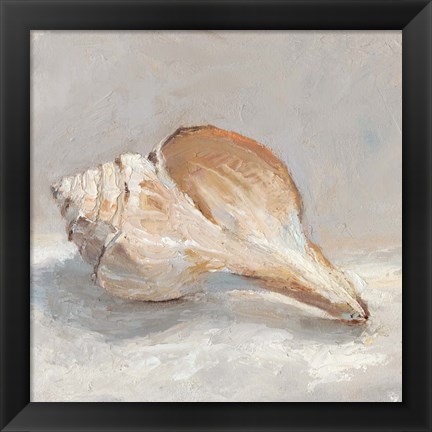 Framed Impressionist Shell Study III Print