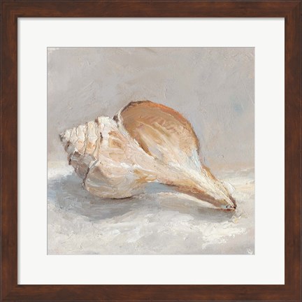 Framed Impressionist Shell Study III Print