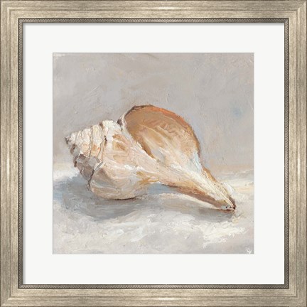 Framed Impressionist Shell Study III Print