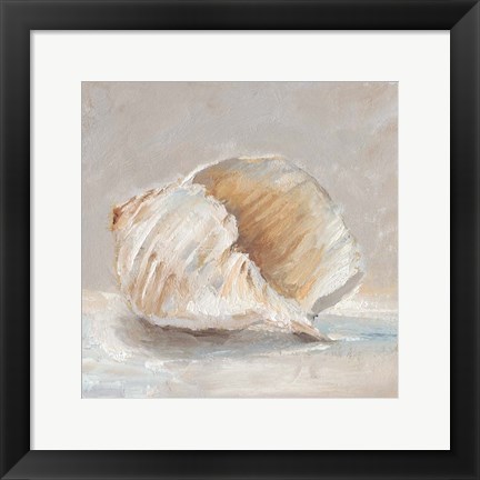 Framed Impressionist Shell Study IV Print