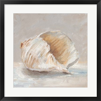 Framed Impressionist Shell Study IV Print