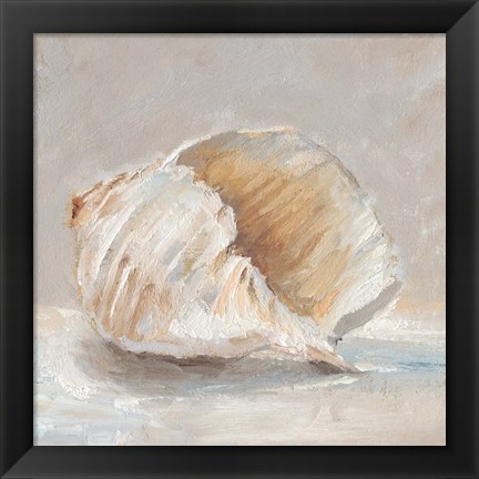 Framed Impressionist Shell Study IV Print