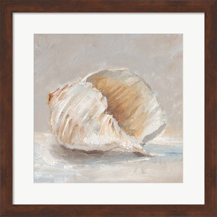 Framed Impressionist Shell Study IV Print