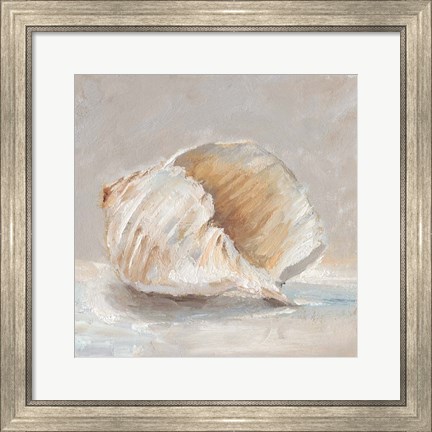 Framed Impressionist Shell Study IV Print