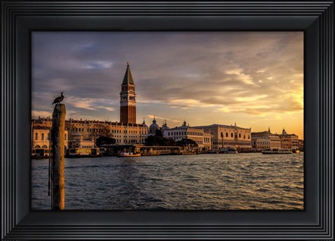 Framed Bird&#39;s View Print
