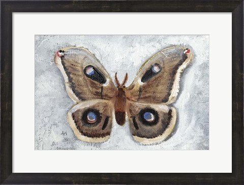 Framed Papillon de Nuit II Print