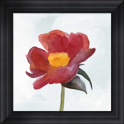 Framed Joyful Peony I Print