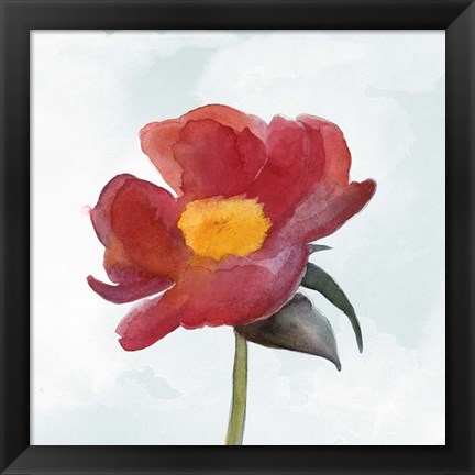 Framed Joyful Peony I Print