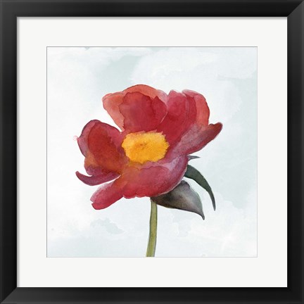 Framed Joyful Peony I Print