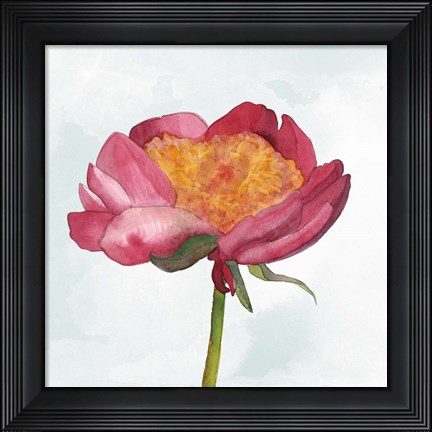 Framed Joyful Peony II Print