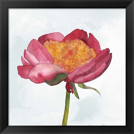 Framed Joyful Peony II Print