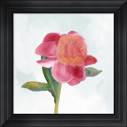 Framed Joyful Peony III Print