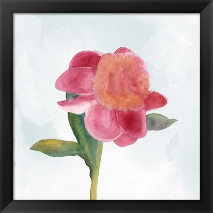 Framed Joyful Peony III Print