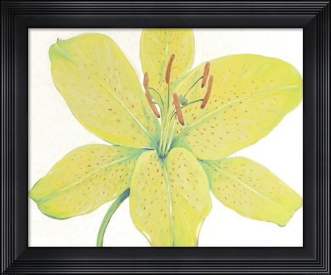 Framed Citron Tiger Lily I Print