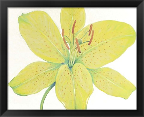 Framed Citron Tiger Lily I Print