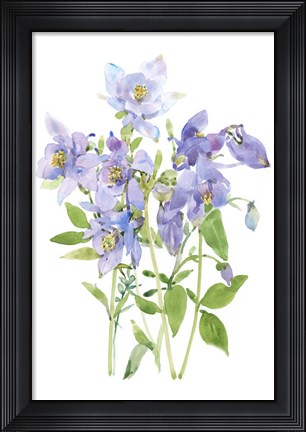 Framed Columbine Spray I Print
