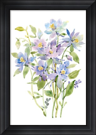 Framed Columbine Spray II Print