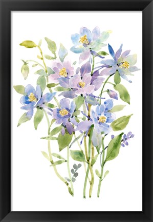 Framed Columbine Spray II Print