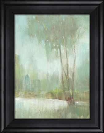 Framed Mist in the Glen II Print